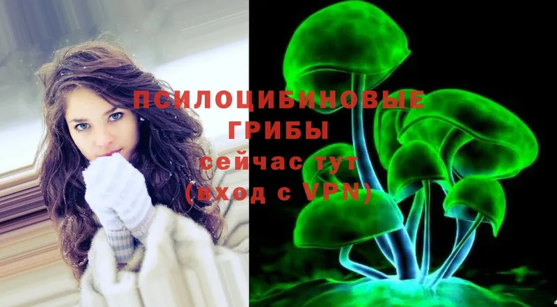 Псилоцибиновые грибы Magic Shrooms  Минусинск 